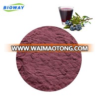 NOP Standard Spray Dried Powder Organic Blueberry Juice Powder