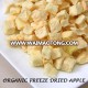 Organic freeze dried apple powder / granules / whole